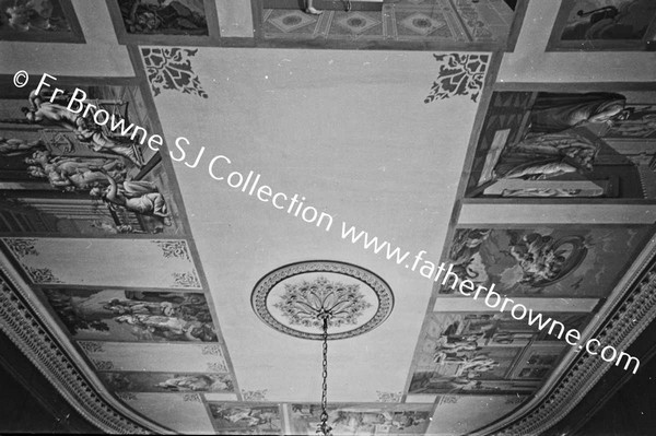 COSBY HALL  CEILING OF LIBRARY